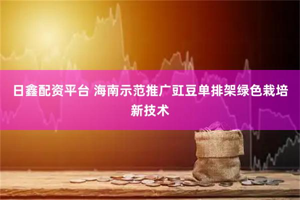日鑫配资平台 海南示范推广豇豆单排架绿色栽培新技术